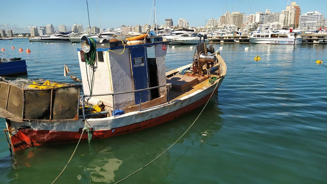 Luxury yacht anchored in the harbor of Punta del Este at golden hour